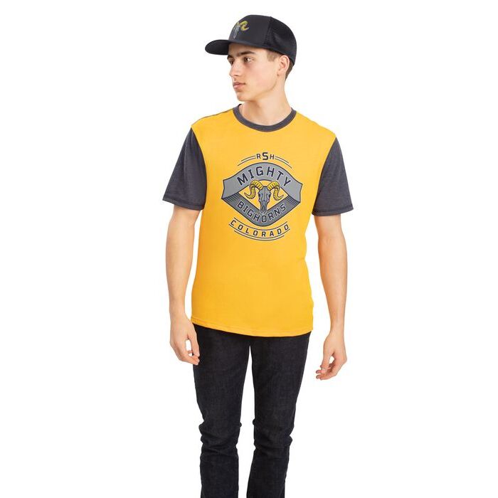 Gameday Vintage Ringer Tee Thumbnail